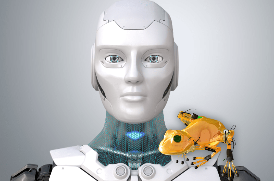 Biomimetics and its application in the development of Robotics